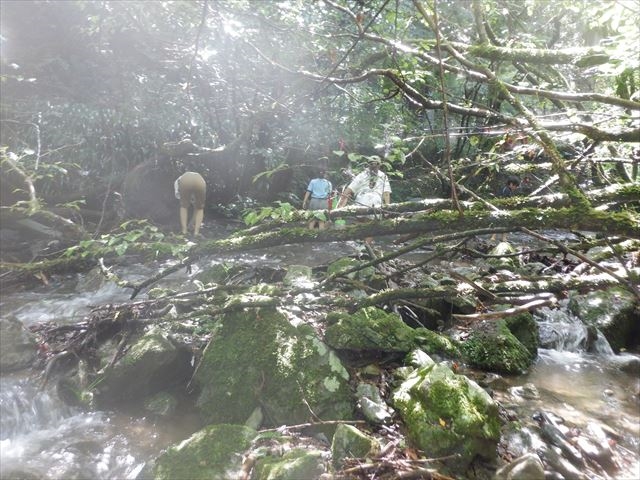 日野２団ビーバー隊活動写真その12