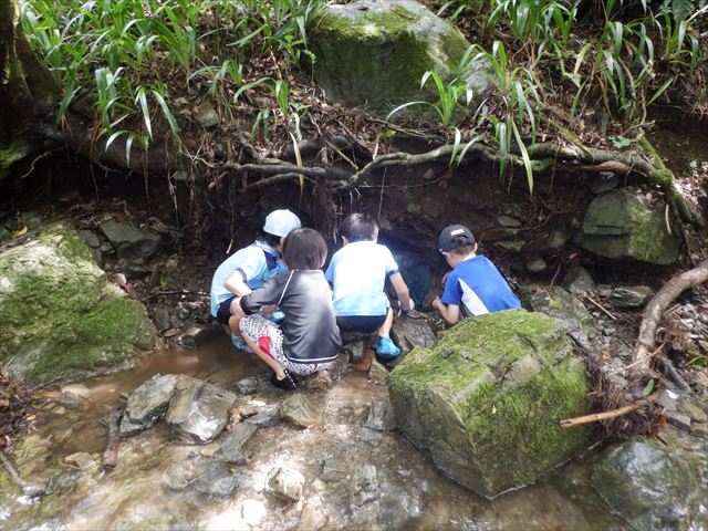 日野２団ビーバー隊活動写真その18