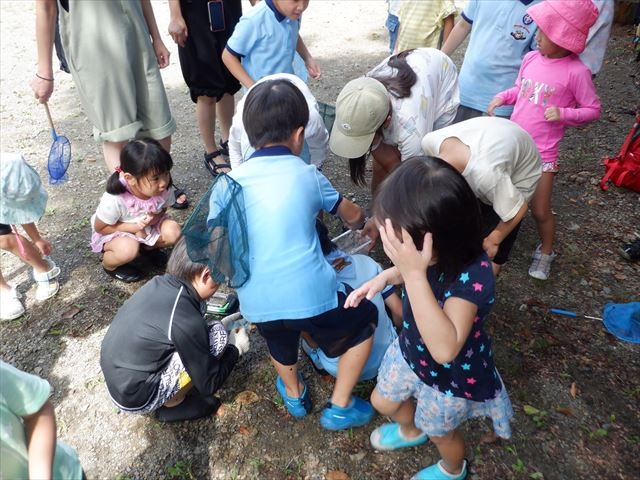 日野２団ビーバー隊活動写真その22