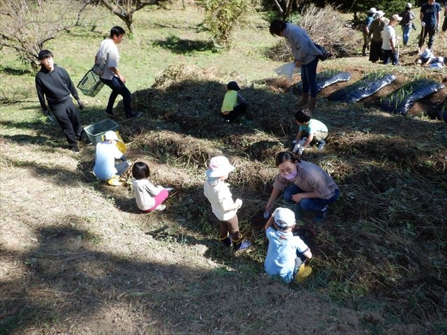 日野２団ビーバー隊活動写真その11