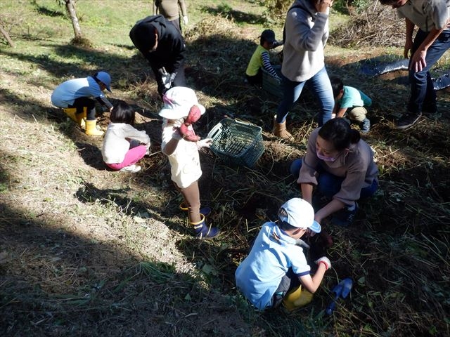 日野２団ビーバー隊活動写真その13