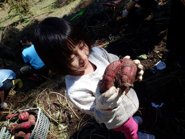 日野２団ビーバー隊活動写真その19