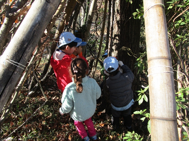 日野２団ビーバー隊活動写真その11