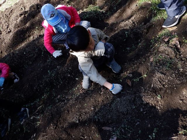 日野２団ビーバー隊活動写真その25