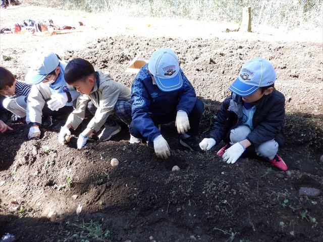 日野２団ビーバー隊活動写真その33