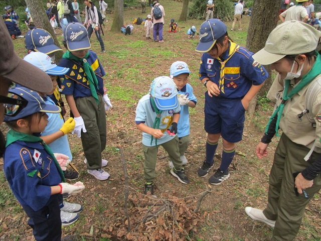 日野２団ビーバー隊活動写真その30