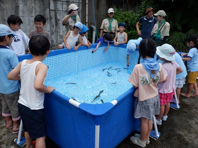 日野２団ビーバー隊活動写真その12