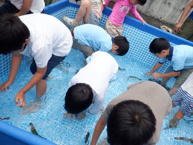 日野２団ビーバー隊活動写真その14