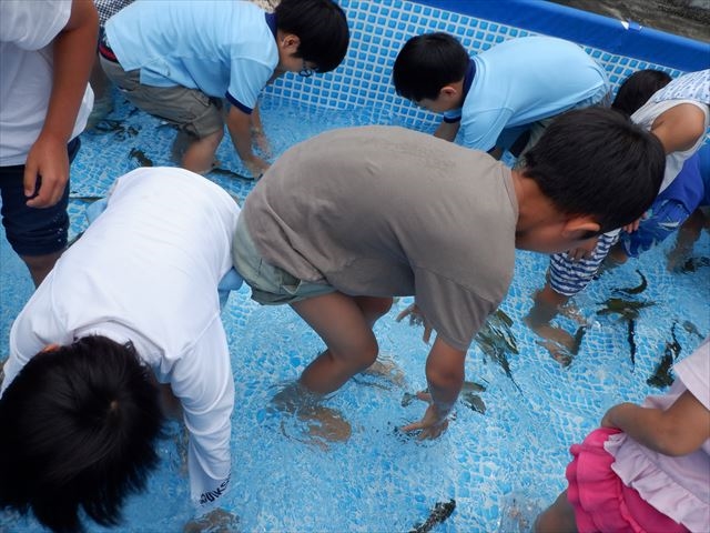 日野２団ビーバー隊活動写真その15