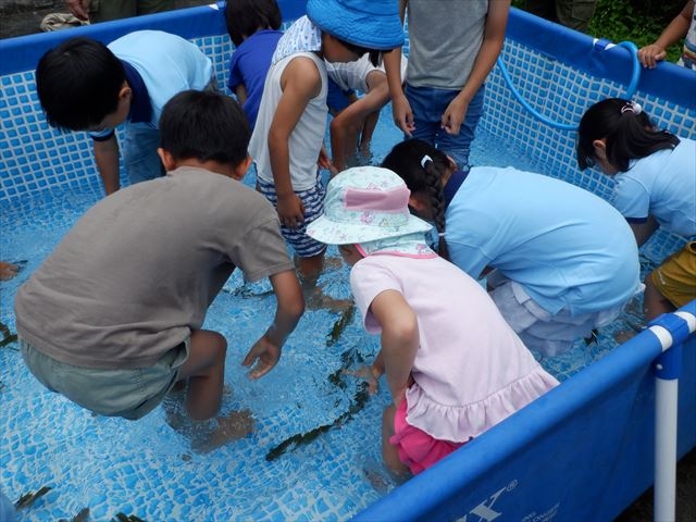 日野２団ビーバー隊活動写真その16