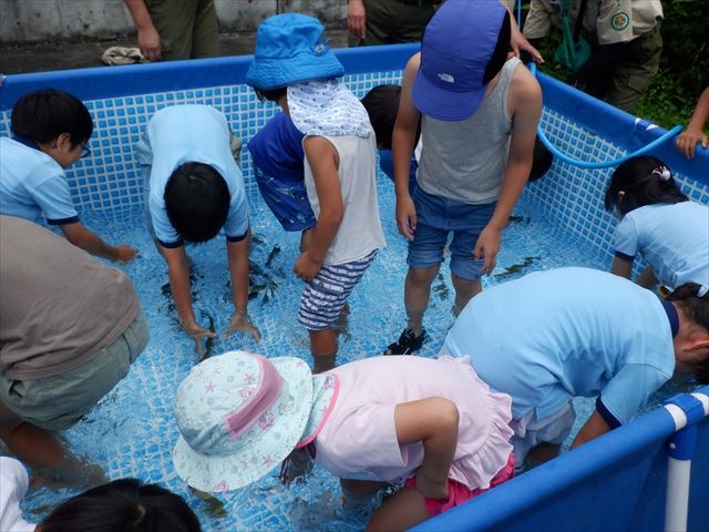 日野２団ビーバー隊活動写真その17