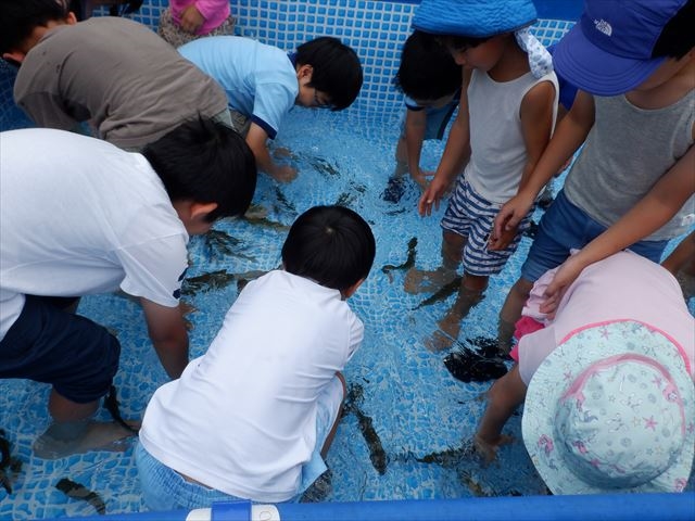 日野２団ビーバー隊活動写真その18