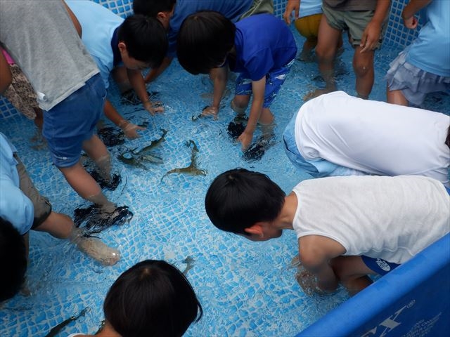 日野２団ビーバー隊活動写真その20