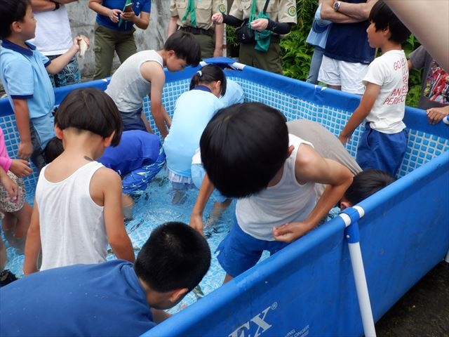 日野２団ビーバー隊活動写真その22