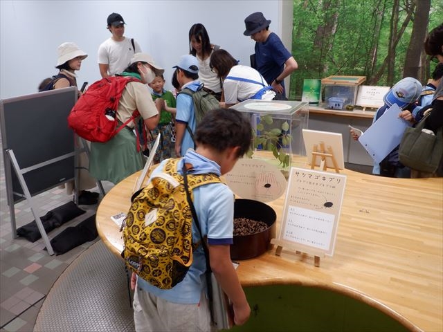 日野２団ビーバー隊活動写真その23