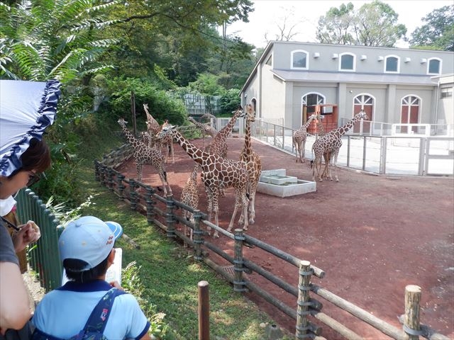 日野２団ビーバー隊活動写真その38