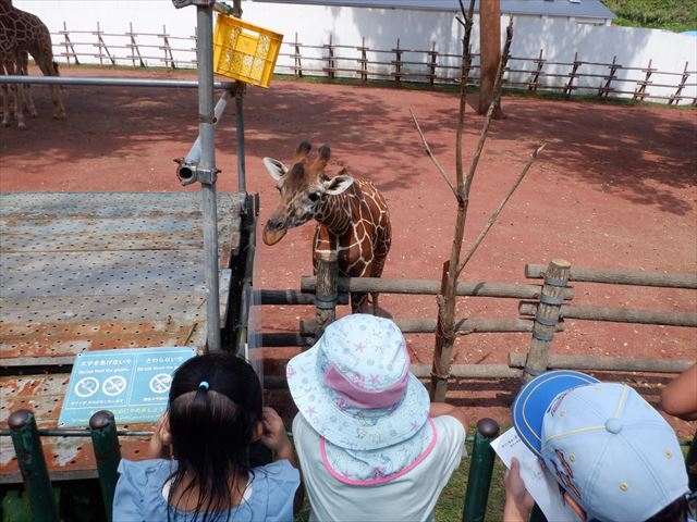 日野２団ビーバー隊活動写真その39