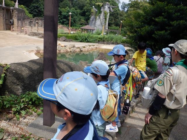 日野２団ビーバー隊活動写真その44