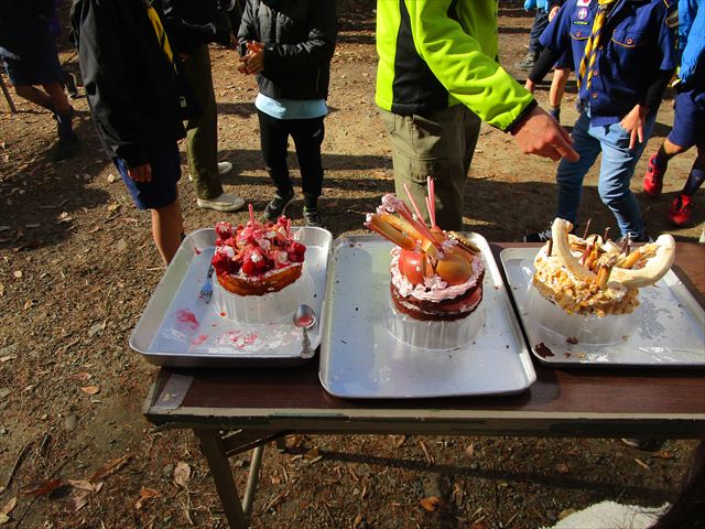 日野２団ビーバー隊活動写真その31