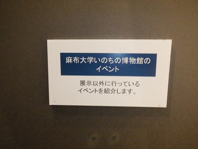 日野２団ビーバー隊活動写真その11