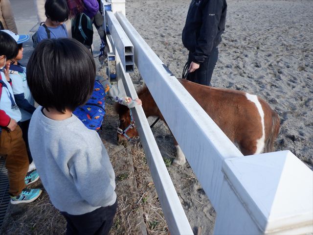 日野２団ビーバー隊活動写真その55