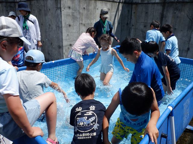 日野2団ビーバー隊活動写真その14