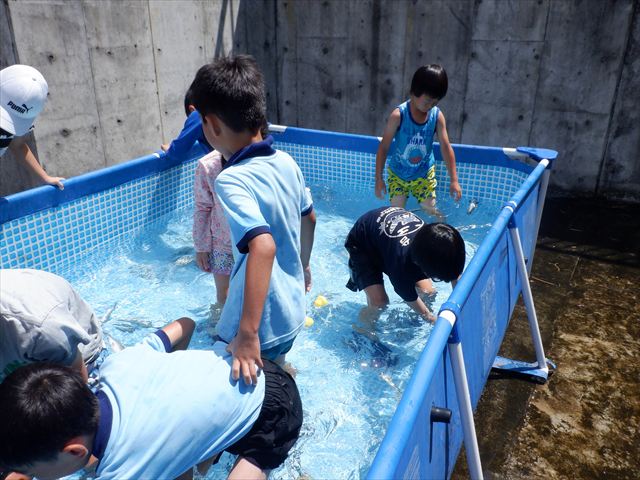 日野2団ビーバー隊活動写真その16