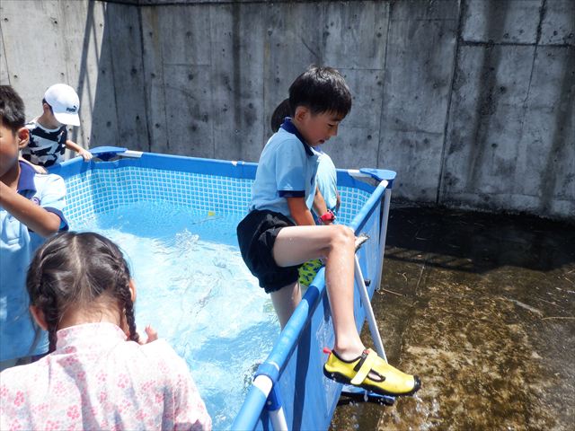 日野2団ビーバー隊活動写真その17