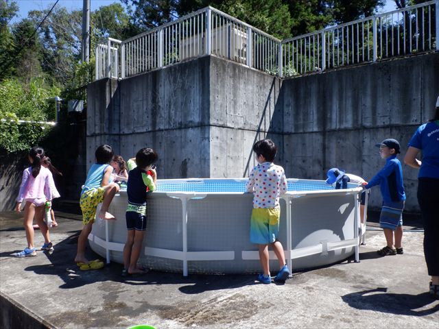 日野２団ビーバー隊活動写真その7