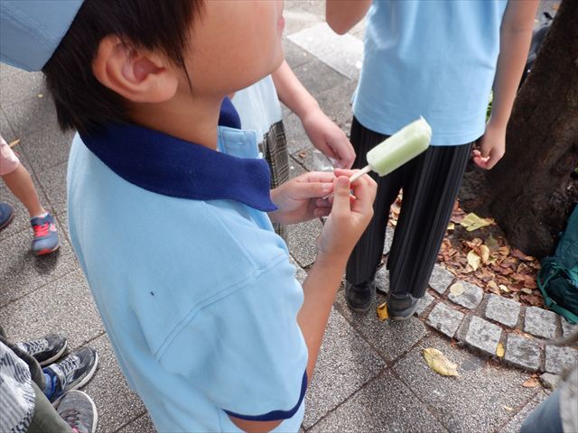日野2団ビーバー隊活動写真その12