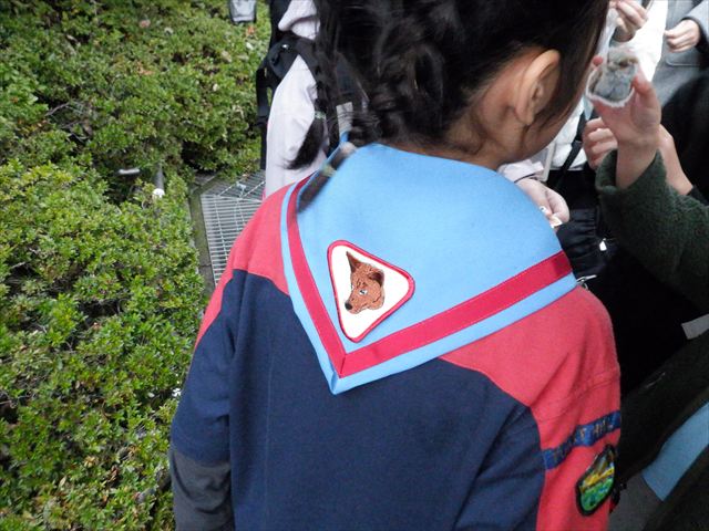 日野２団ビーバー隊活動写真その16