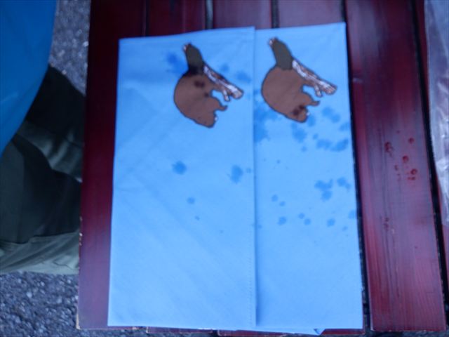 日野2団ビーバー隊活動写真その3