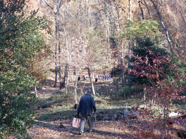 日野2団ビーバー隊活動写真その9