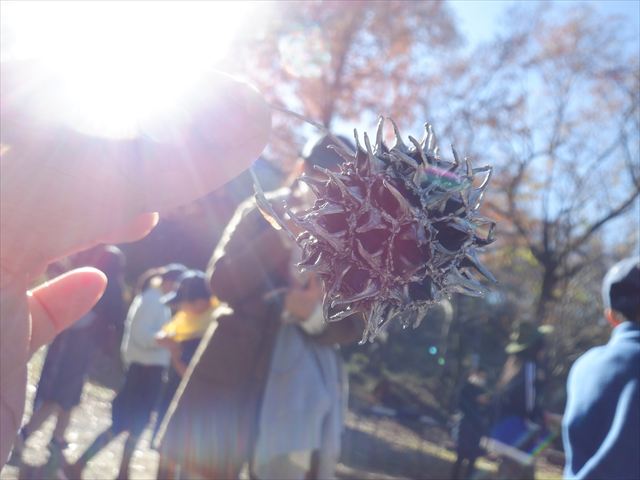 日野2団ビーバー隊活動写真その32