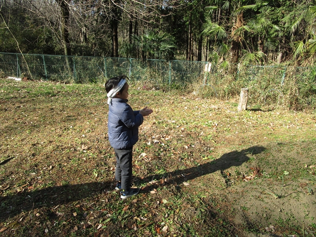 日野２団ビーバー隊活動写真その7