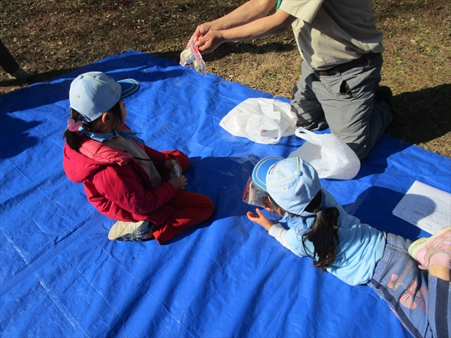 日野２団ビーバー隊活動写真その22