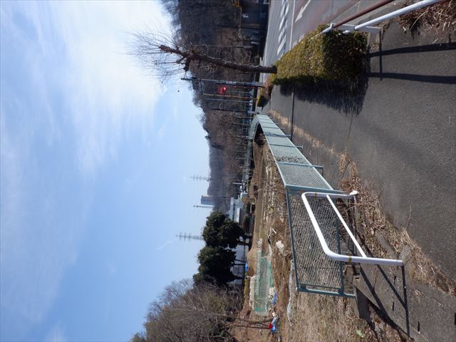 日野２団ビーバー隊活動写真その2