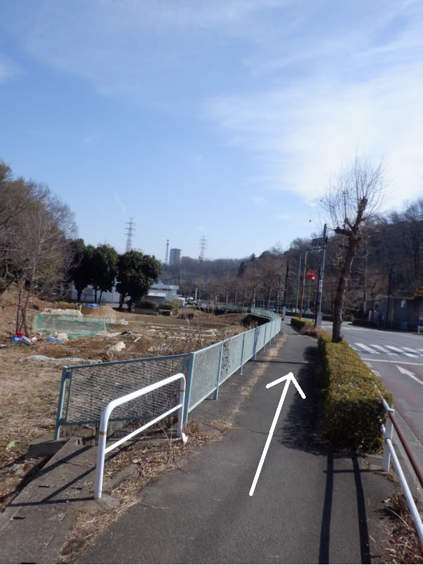 日野２団ビーバー隊活動写真その3