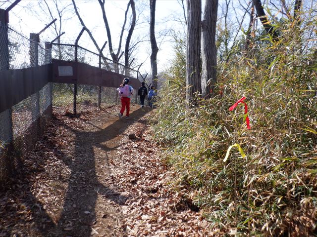 日野２団ビーバー隊活動写真その8