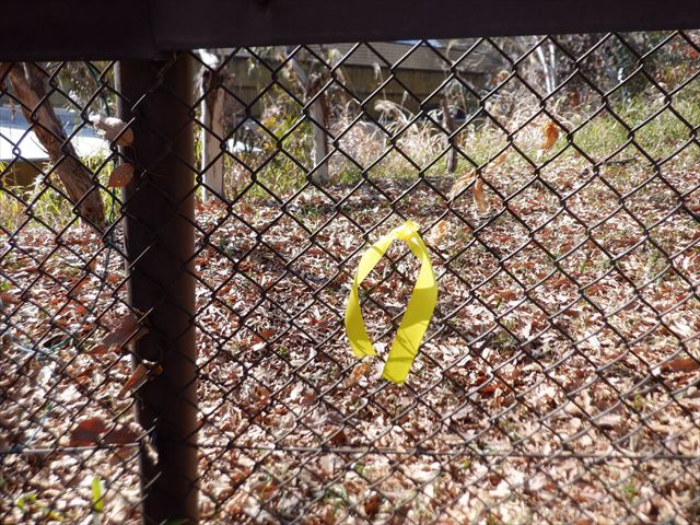 日野２団ビーバー隊活動写真その12