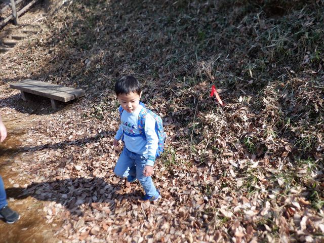 日野２団ビーバー隊活動写真その17