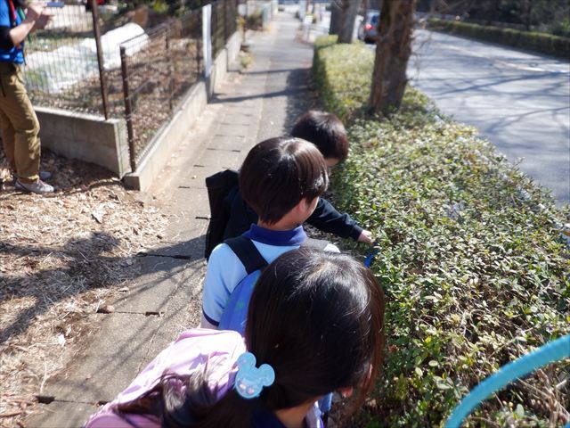 日野２団ビーバー隊活動写真その20