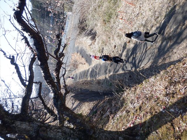 日野２団ビーバー隊活動写真その22