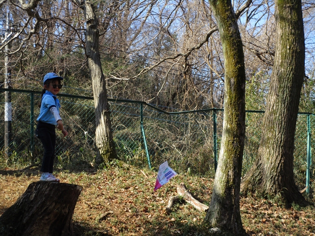 日野2団ビーバー隊活動写真その7