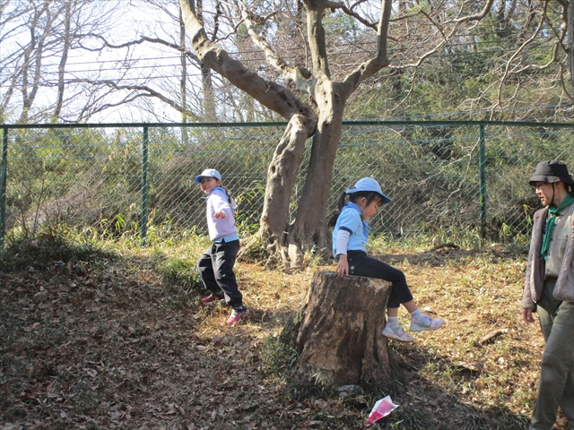 日野2団ビーバー隊活動写真その13