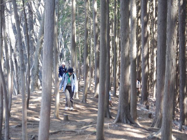 日野２団ビーバー隊活動写真その5