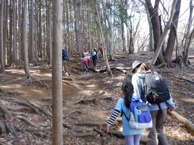 日野２団ビーバー隊活動写真その6