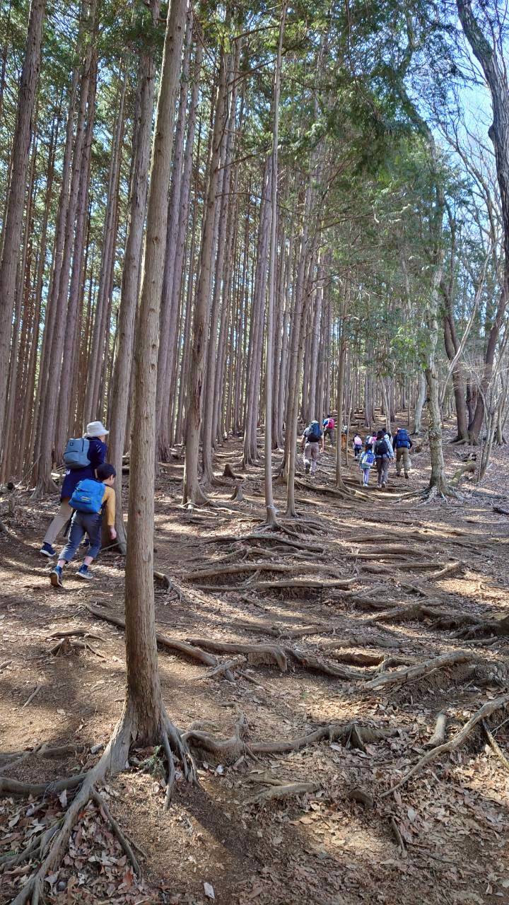 日野２団ビーバー隊活動写真その7