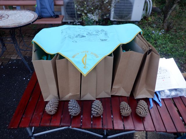 日野２団ビーバー隊活動写真その1