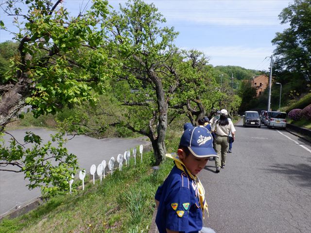日野２団ビーバー隊活動写真その7
